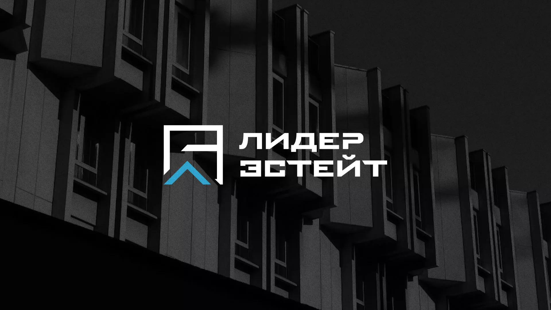 Разработка логотипа агентства недвижимости «Лидер Эстейт» в Магадане